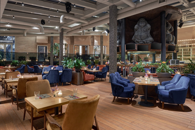 toku, реклама