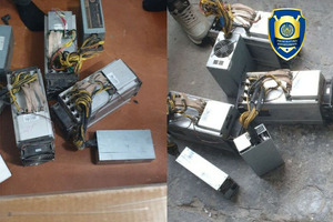 Xorazm hamda Toshkentda noqonuniy mayning ferma tashkil etgan shaxslar aniqlandi