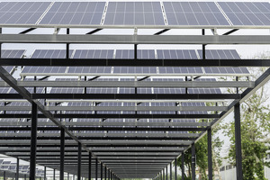 Узбекистан планирует получить $10 млн от торговли углеродными квотами