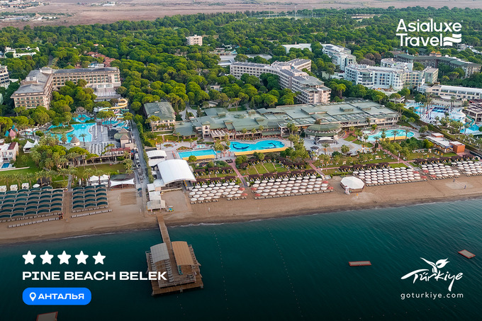 asialuxe travel, реклама