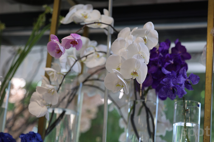 biznes g'oya, floristika, gul do'koni