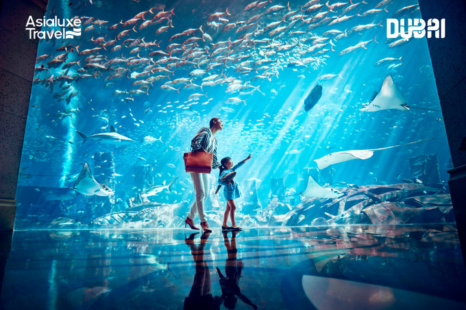 asialuxe travel, реклама