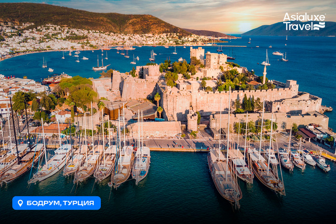 asialuxe travel, реклама в telegram