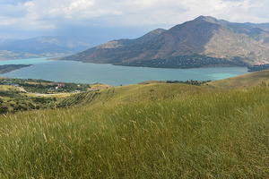 В турзоне «Чарвак» выставили на торги более 50 земельных участков