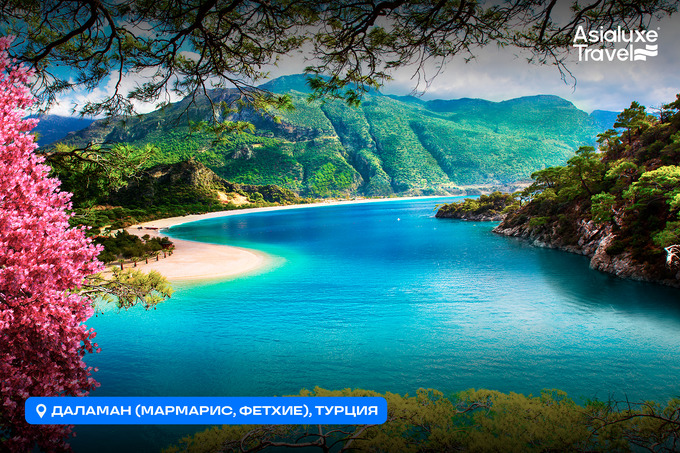 asialuxe travel, реклама в telegram