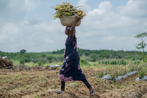 Узбекистан изучает потенциал торговли с африканскими странами