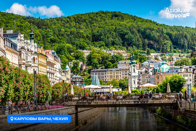 asialuxe travel, реклама в telegram