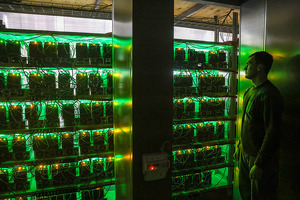 Qoraqalpog‘istonda mayning uchun maxsus zona tashkil etish rejalashtirilmoqda