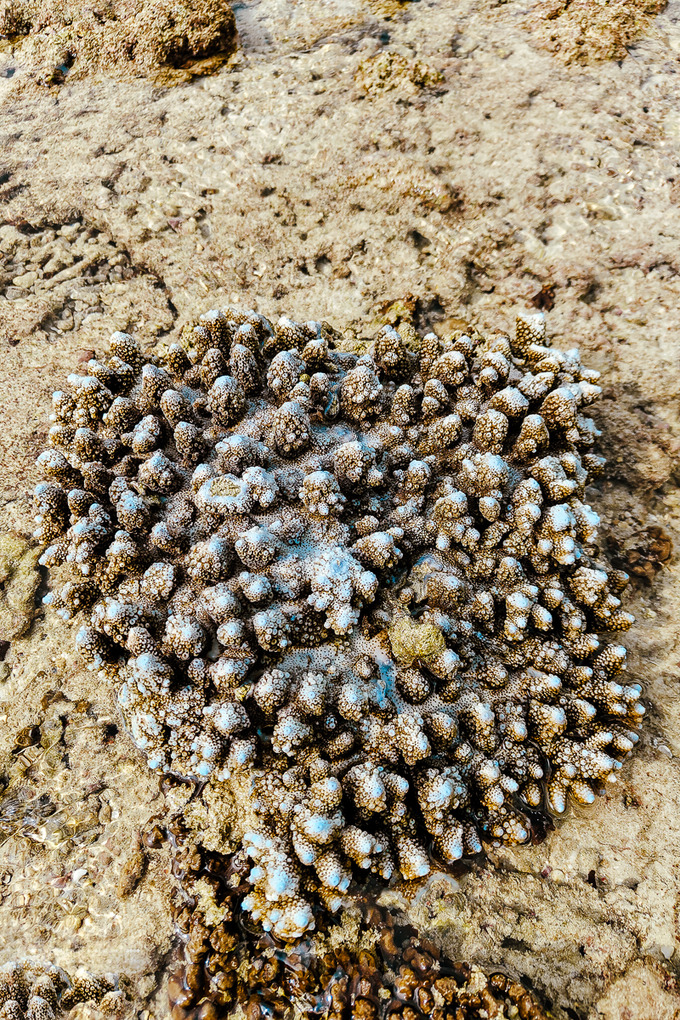 личный опыт путешествия, таиланд