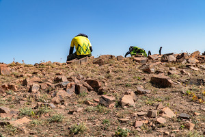 O‘zbekiston XMTning haq to‘lanadigan ta’tillar to‘g‘risidagi konvensiyasini ratifikatsiya qilmoqda