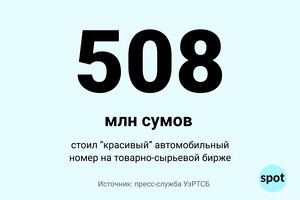 «Красивый» автономер продали за 508 млн сумов