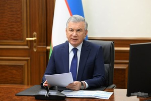 O‘zbekistonda ikkita oliy ta’lim muassasasi tashkil etiladi