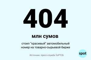«Красивый» автономер продали за 404 млн сумов
