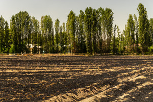 Ekologiya vazirligi somonpoyalarni yoqish holatlarini joyiga chiqib o‘rganadi