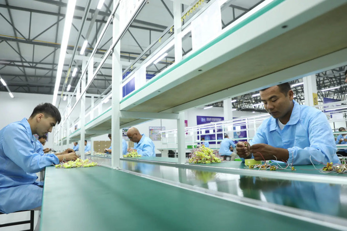 afg'oniston, termiz, termiz erkin savdo zonasi