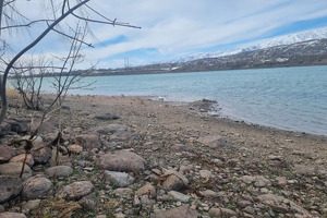 Часть Газалкентского водохранилища сдадут в аренду под рыбоводство