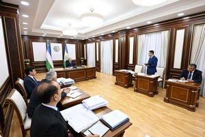 O‘zbekistonda uzumzor va olmazorlar barpo etishning yangi tizimi joriy qilinadi