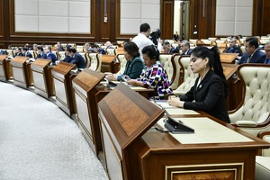 Сенаторы одобрили проект закона о борьбе с инфомошенничеством