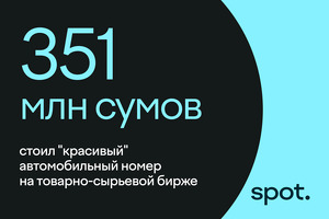 «Красивый» автономер продали за 351 млн сумов