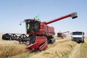 Узагроинспекция возвращается в структуру Кабмина из Минсельхоза