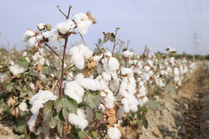 Узбекистан выиграл арбитражное дело с иском турецкой компании на $700 млн — Минюст