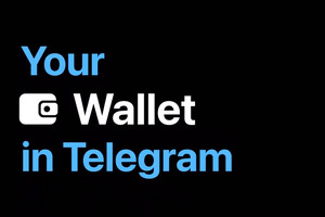 Платформа Wallet от TON ищет директора офиса в Узбекистане