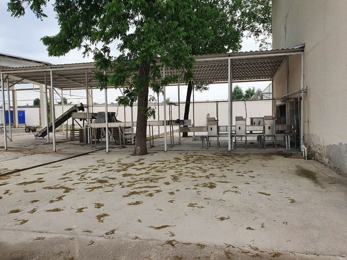 аукцион, ташкентская область