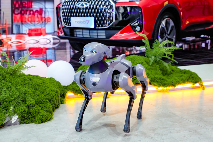 chery, реклама