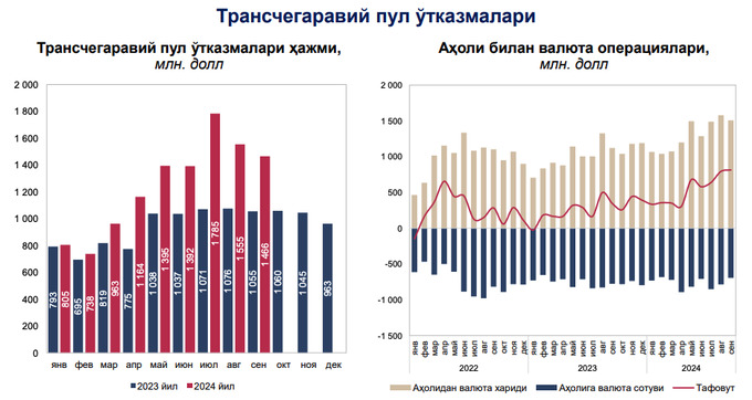 денежные переводы, мамаризо нурмуратов, центральный банк