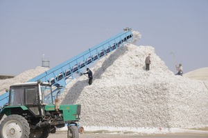 O‘zbekiston AQShdan paxta import qilishi mumkin