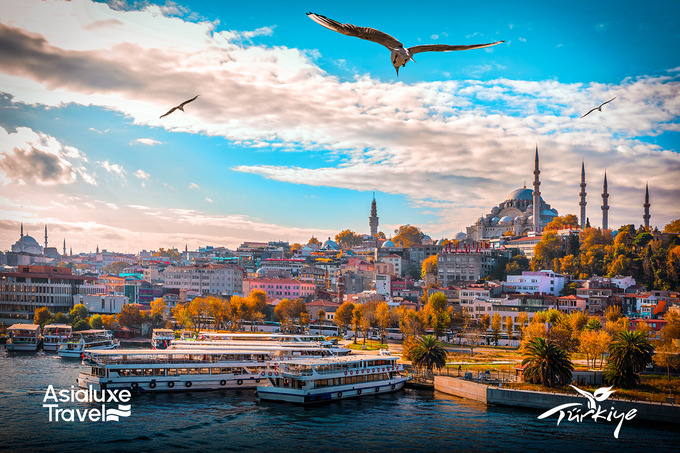 asialuxe travel, реклама