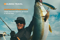 kolberg travel, реклама