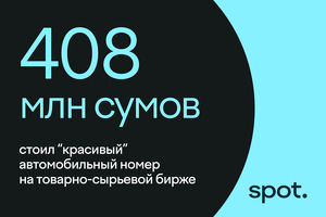 «Красивый» автономер продали за 408 млн сумов