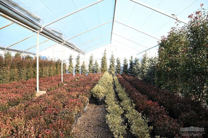 prezident, qurilish, shavkat mirziyoyev, yangi toshkent