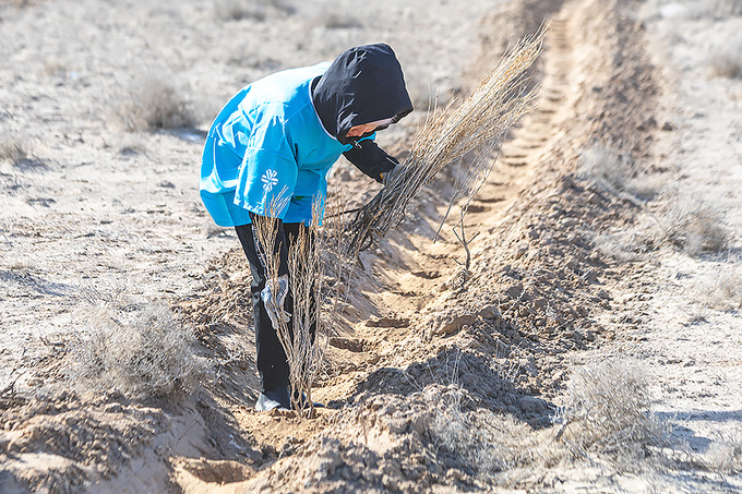 reklama, siberian-health