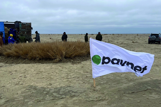 paynet, реклама