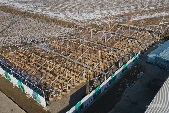 зеленый город, новый ташкент, шавкат мирзиеев