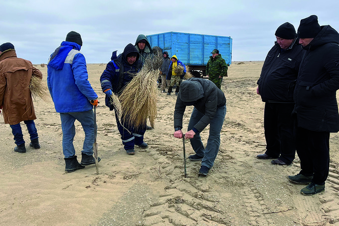 paynet, реклама