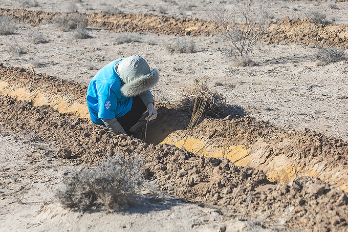reklama, siberian-health