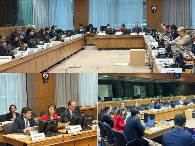 bojxona boji, eksport, gsp+, imtiyozlar, yevropa ittifoqi, preferensiya