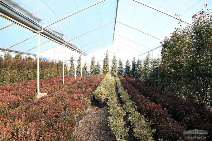 зеленый город, новый ташкент, шавкат мирзиеев