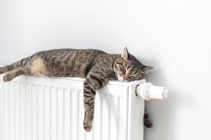 Toshkentda issiq suv va isitish xizmatlari uchun yangi tariflar 12-noyabrdan kuchga kiradi