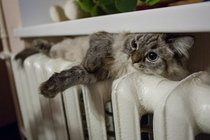 В Ташкенте отопление включат с 3 ноября, тарифы для жителей и бизнеса вырастут