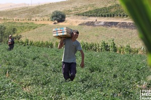 Aholi tomorqasida oziq-ovqat yetishtirishni moliyalashtirishga 5 trln so‘m yo‘naltiriladi