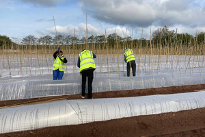 HOPS начинает новый набор узбекистанцев на сельхозработы в Великобритании