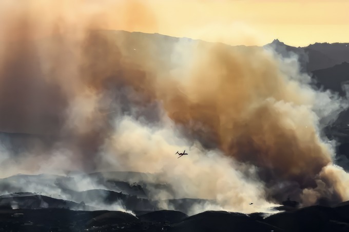 дональд трамп, страхование, сша