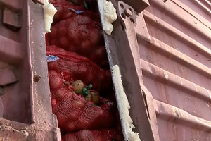 Qozog‘istondan O‘zbekistonga olib kelinayotgan 1000 tonnaga yaqin kartoshka chegarada chirib ketgan