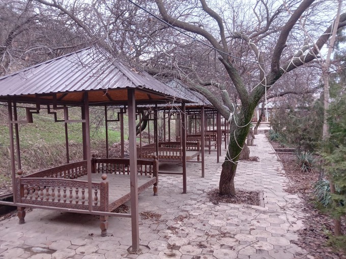 аукцион, зона отдыха, ходжикент, чарвак