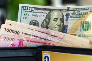 Dollar kursi ko‘tarildi