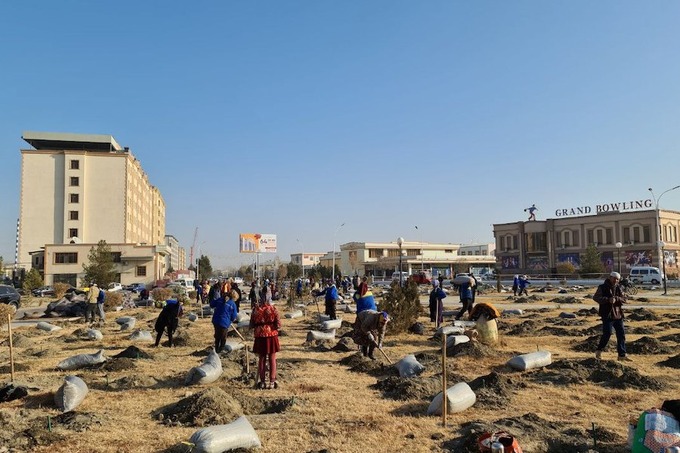 green white solutions, автоматизация, стартап